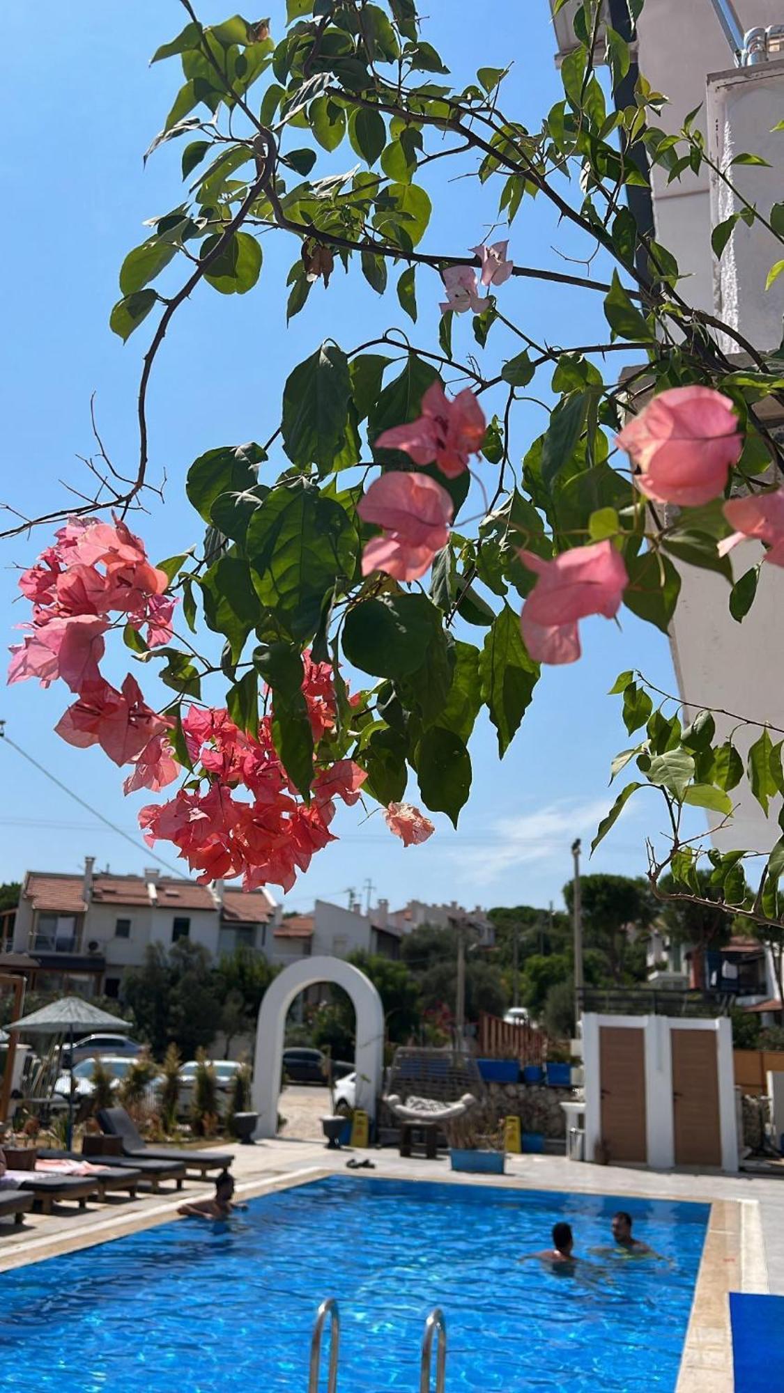Çeşme Belong Butik Otel מראה חיצוני תמונה