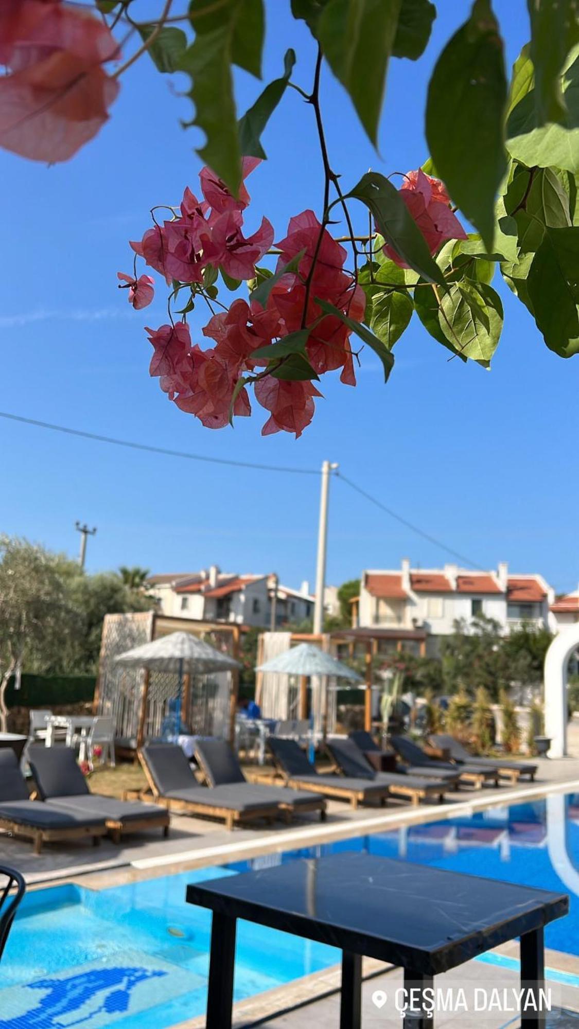 Çeşme Belong Butik Otel מראה חיצוני תמונה