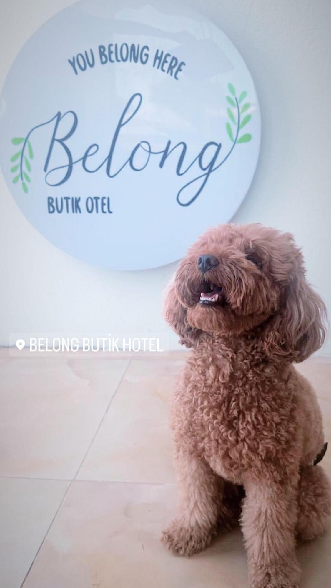 Çeşme Belong Butik Otel מראה חיצוני תמונה