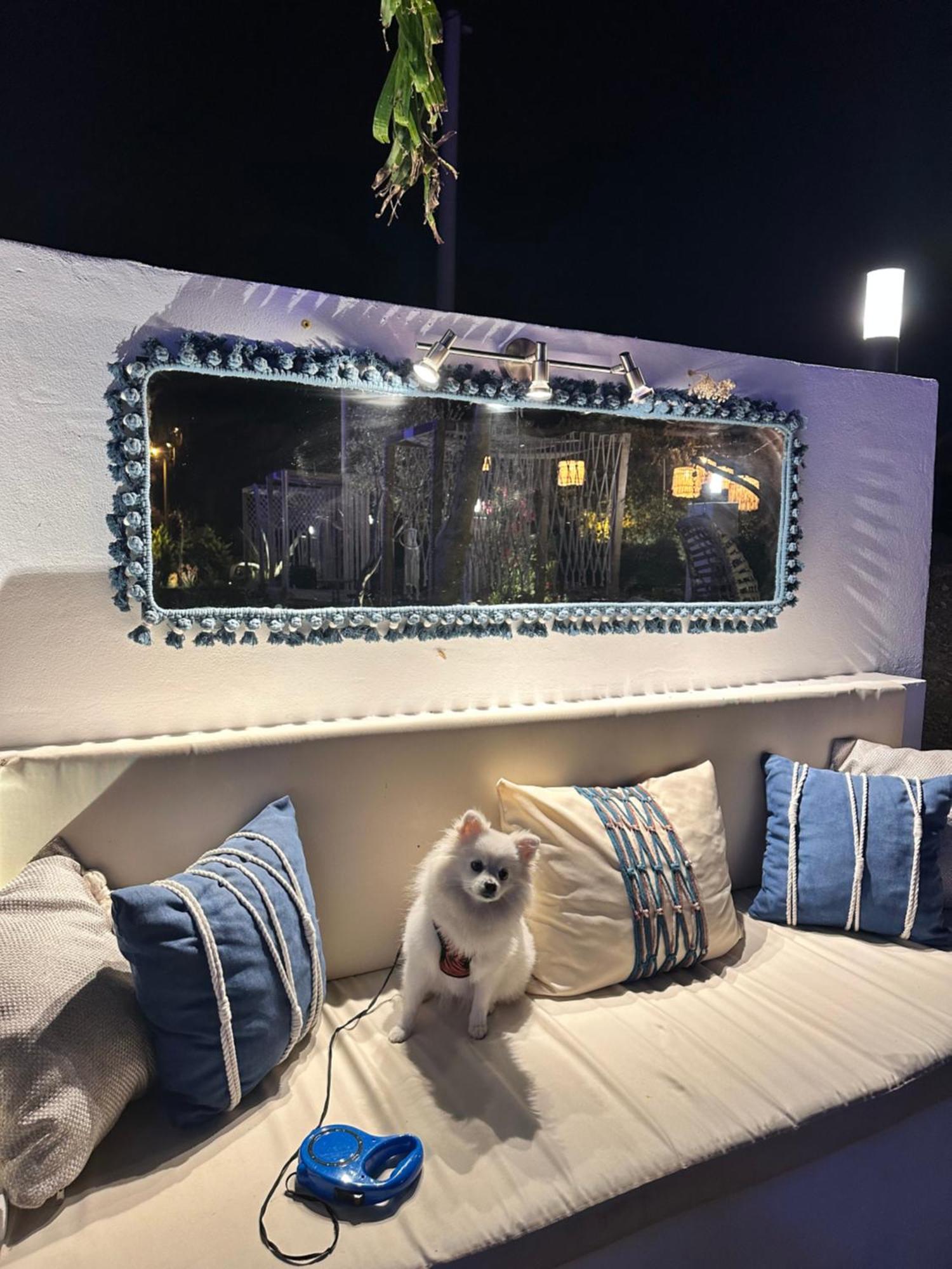 Çeşme Belong Butik Otel מראה חיצוני תמונה